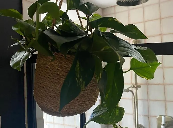 The Old Chair Workshop Holiday home Sedbergh