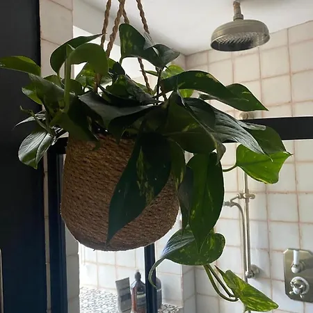 The Old Chair Workshop Casa de Férias Sedbergh